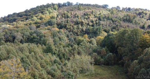 Photo for Off Moonshine Holler Road