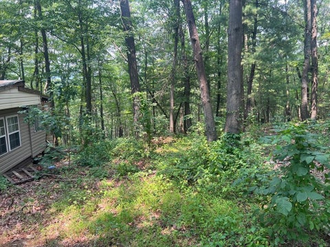 Photo for 6927 Chaneysville Rd.