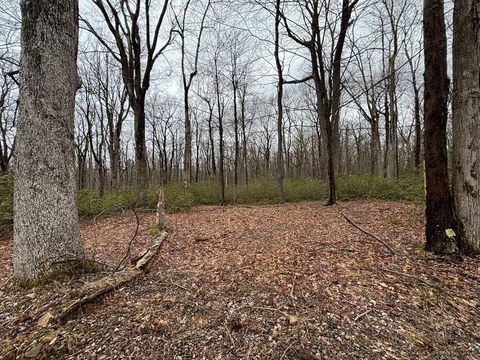 Photo for Lot# 64 Blueberry Way Lot64