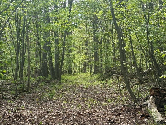 DISHONG MOUNTAIN RD, JOHNSTOWN, PA 15906 - Image d0577f771612f20fb4ab582dee43c8a4/2043164533