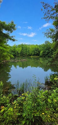 DOUBLE DAM RD, BARNESBORO, PA 15714 - Image dde5bf45522d0e54c19d79ee00f42159/1511145843