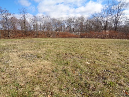 CHENEY OAK DR, JOHNSTOWN, PA 15905 - Image e4d3e2d3511c27fcc17e5e4b5039d6b8/365409291