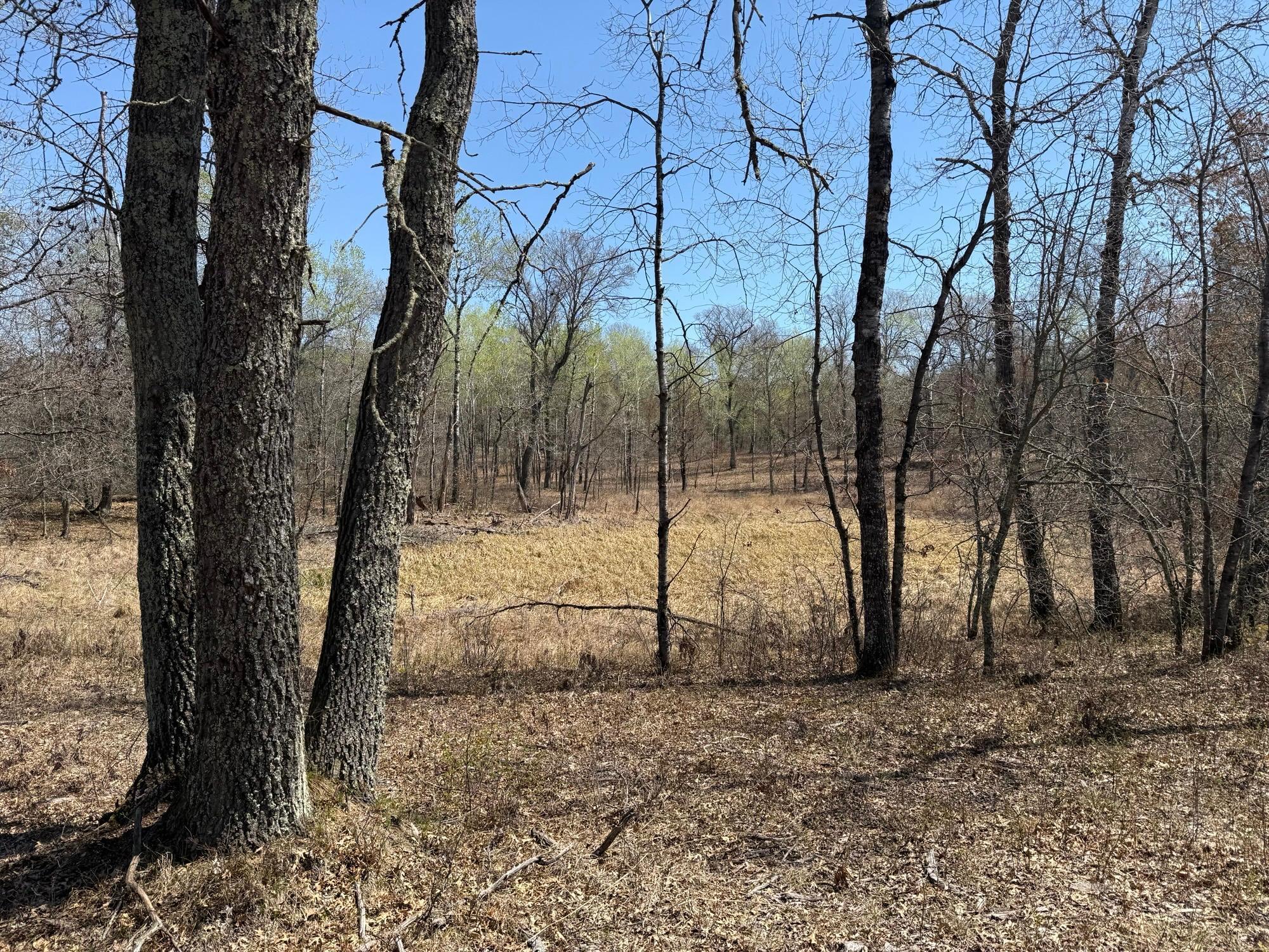 29941 N Bay Drive, Danbury, Wisconsin image 2
