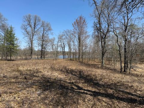 Vacant Land For Sale - 29941 N Bay Drive<br/> Danbury, WI 54830