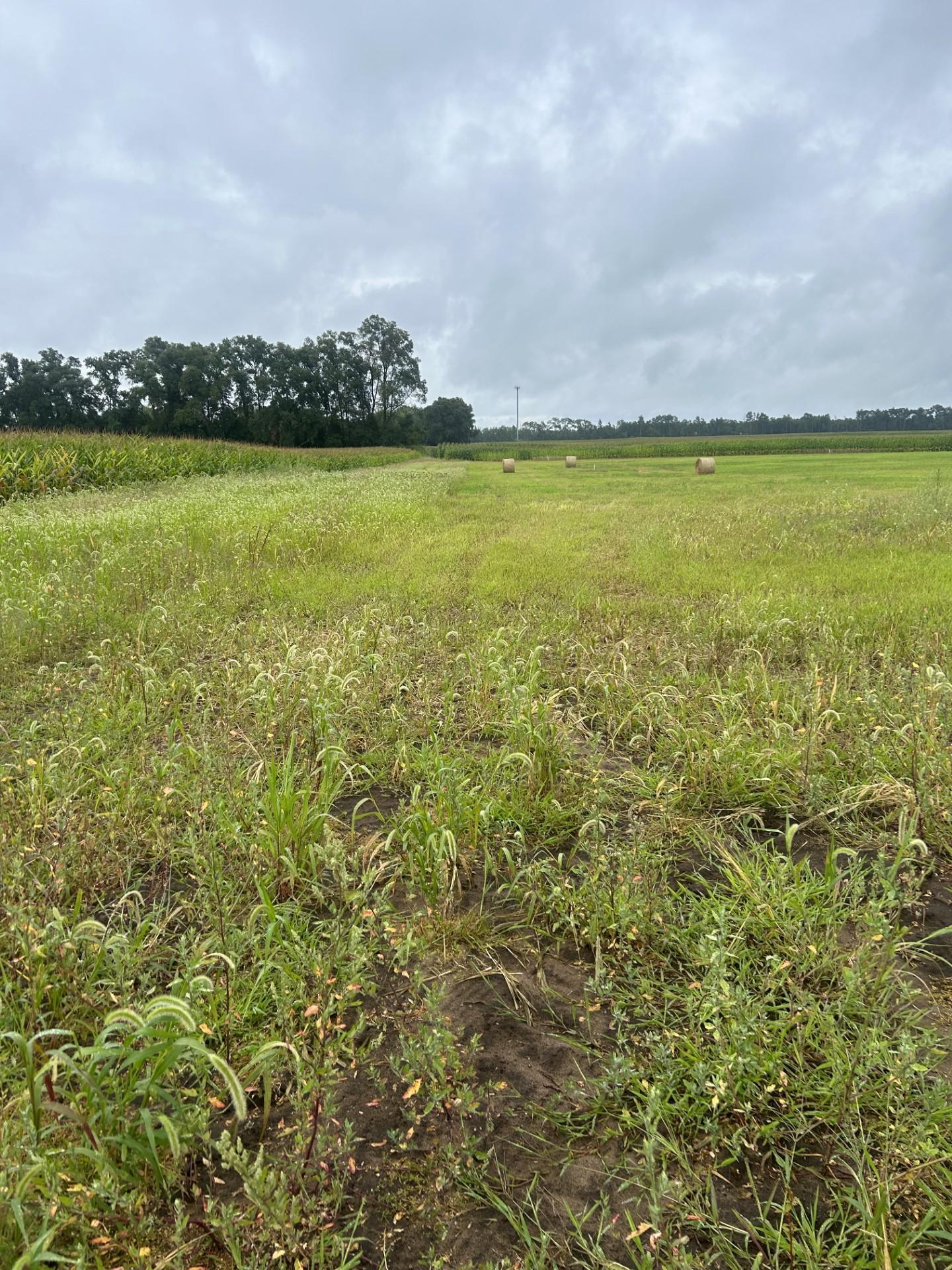 Lot 1 Orlando Avenue, Hastings, Minnesota image 4