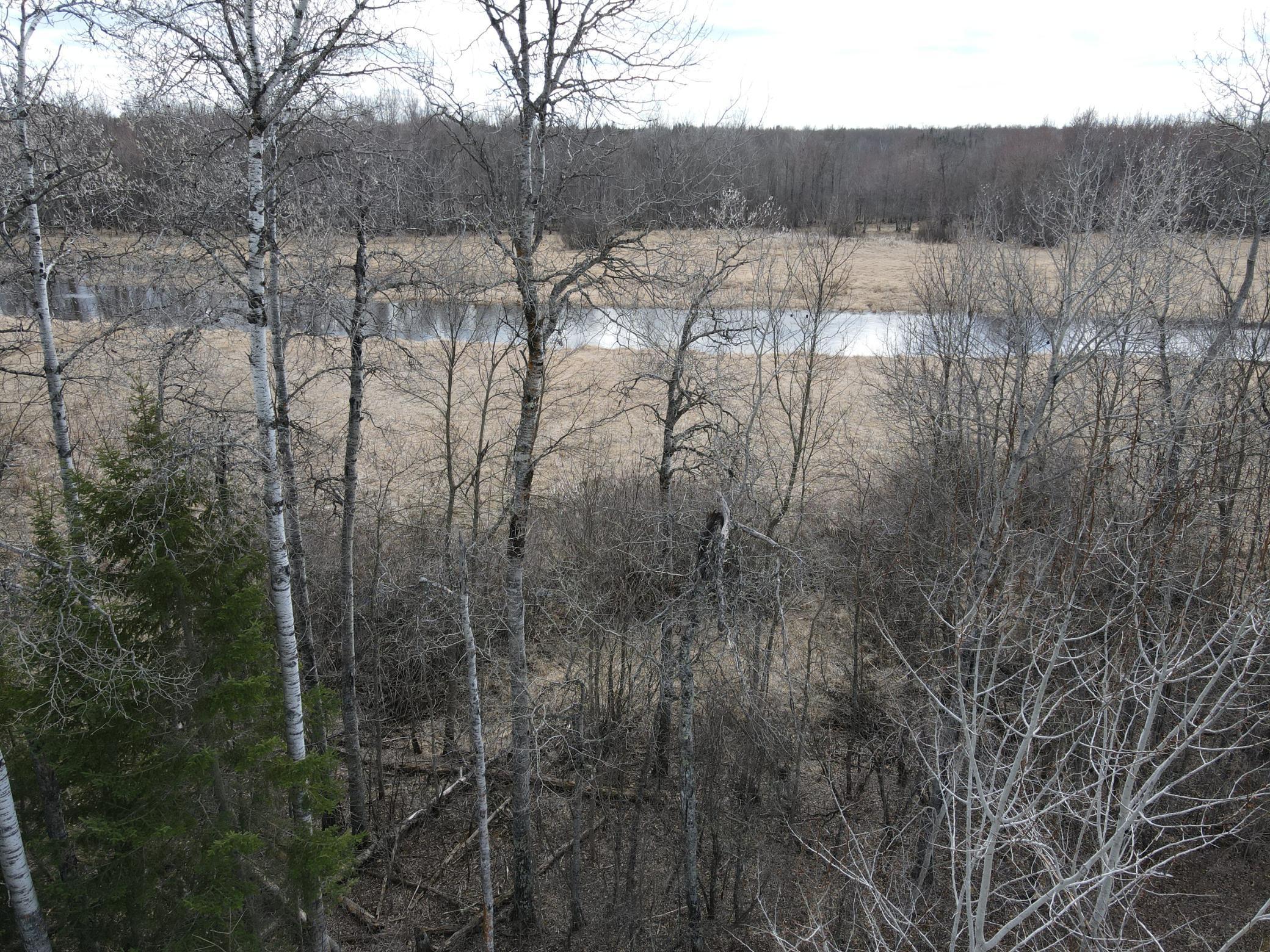 TBD Cedar St, Bigfork, Minnesota image 11