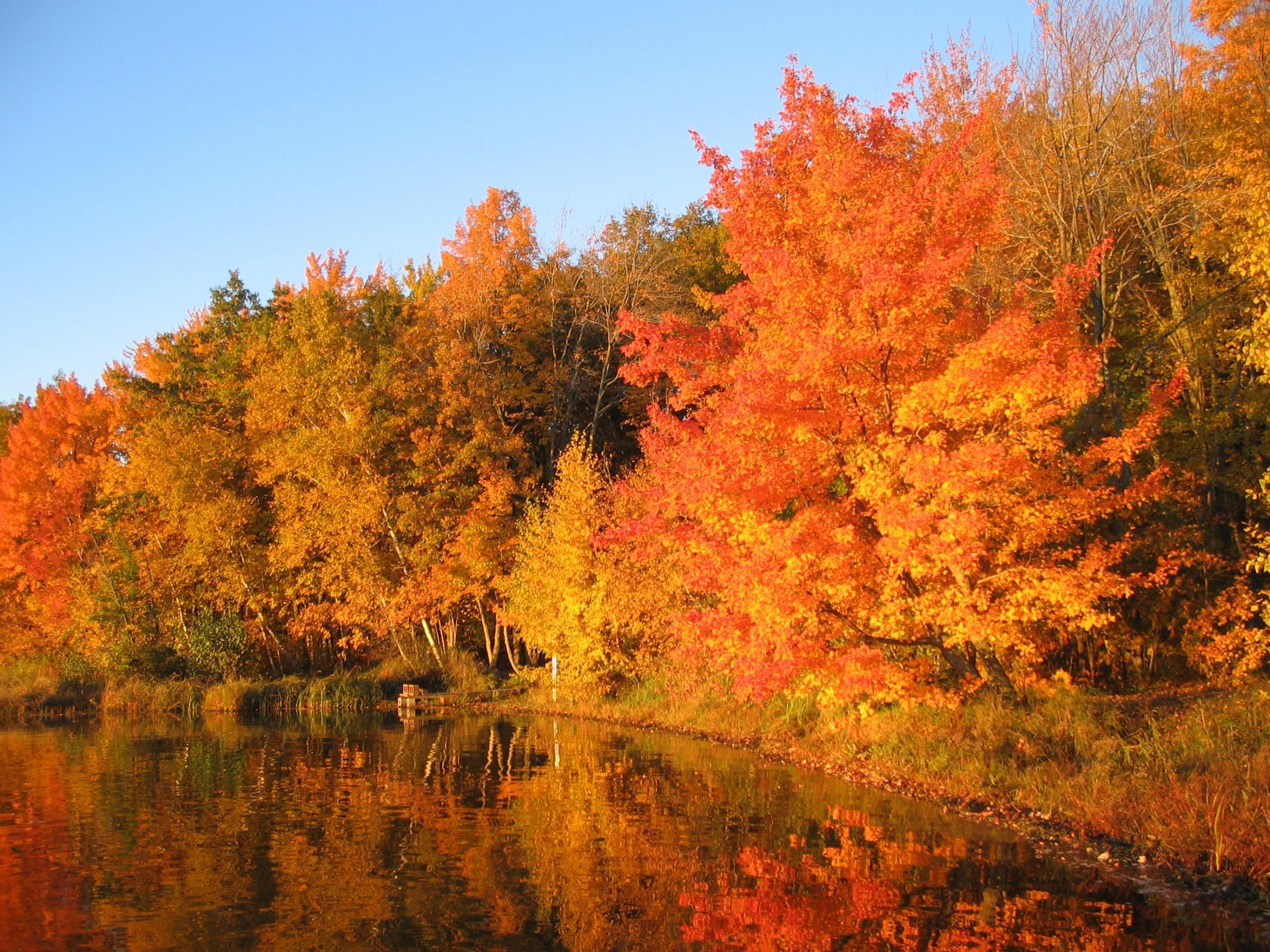 Xxx White Oak Dr (lot 308), Siren, Wisconsin image 14