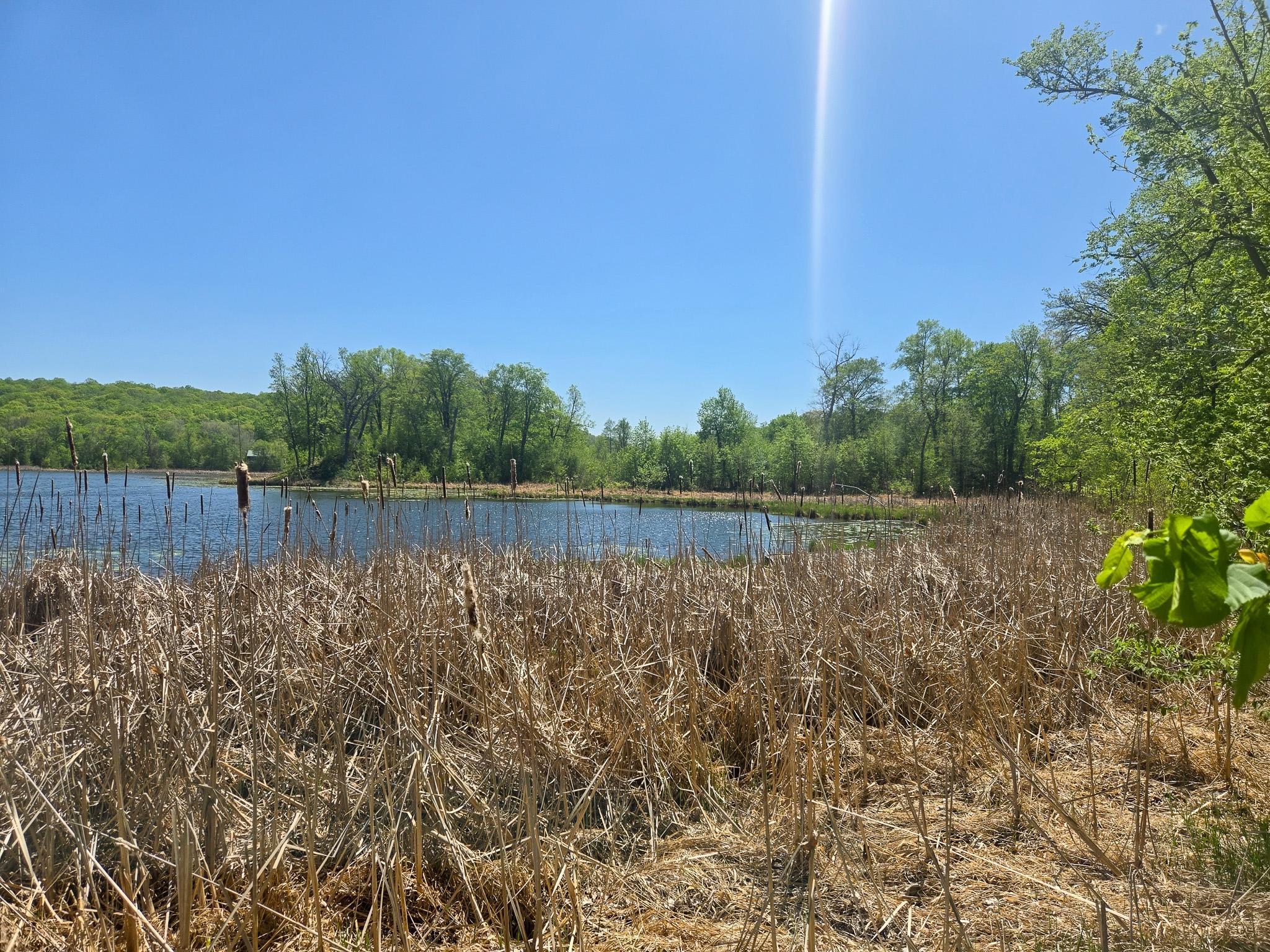TBD 470th Street, Vergas, Minnesota image 37