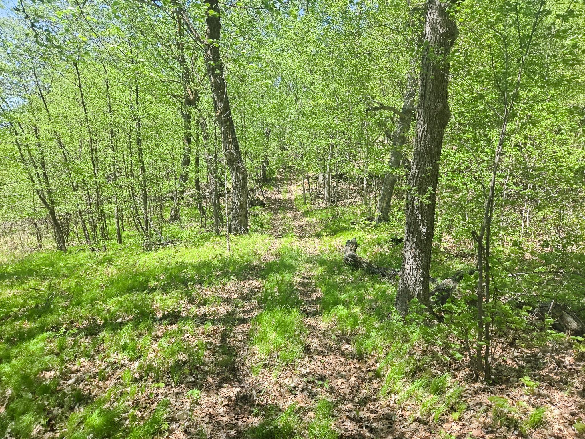 TBD 470th Street, Vergas, Minnesota image 32