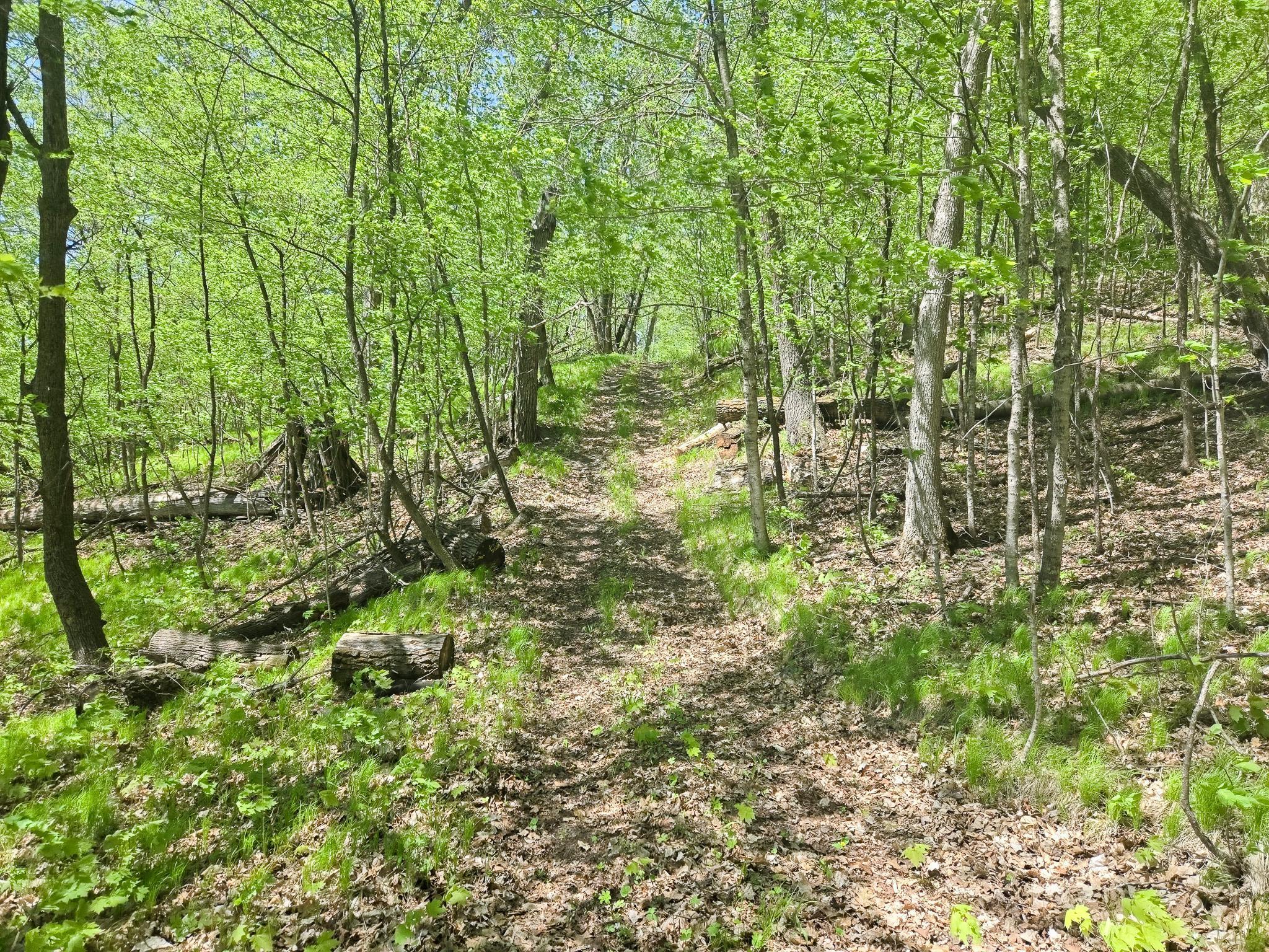 TBD 470th Street, Vergas, Minnesota image 33