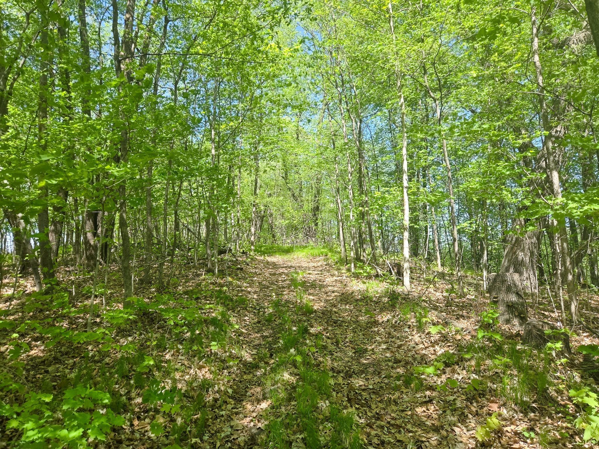TBD 470th Street, Vergas, Minnesota image 26