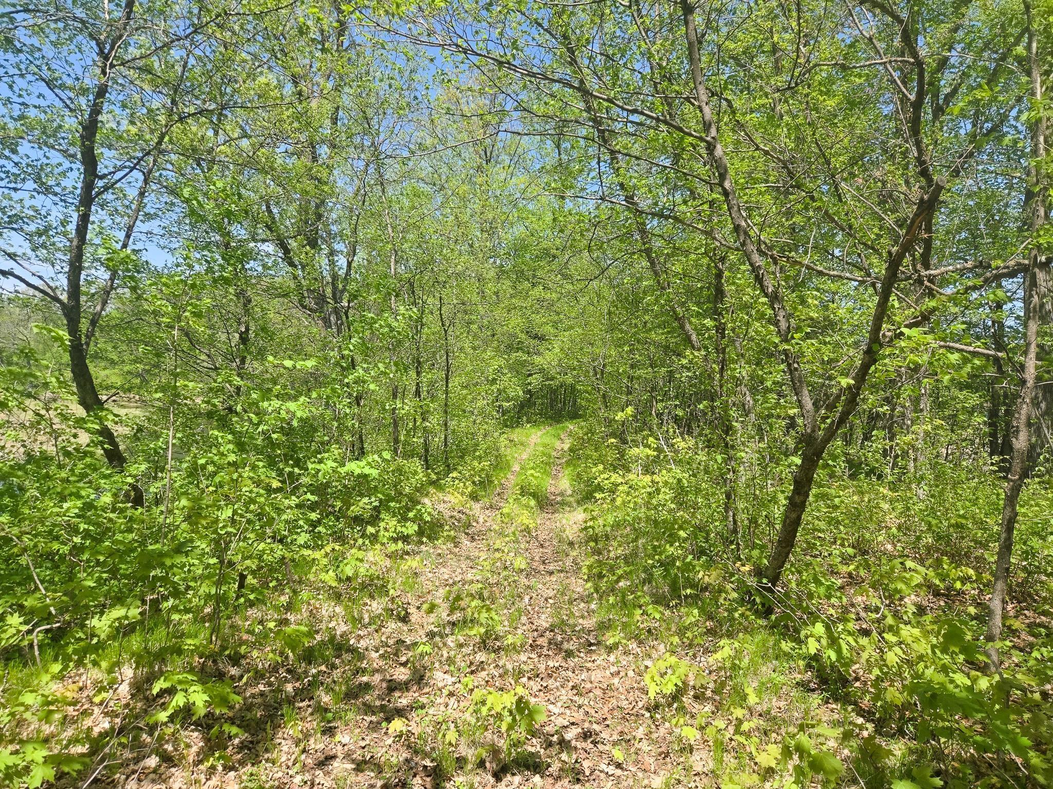 TBD 470th Street, Vergas, Minnesota image 29