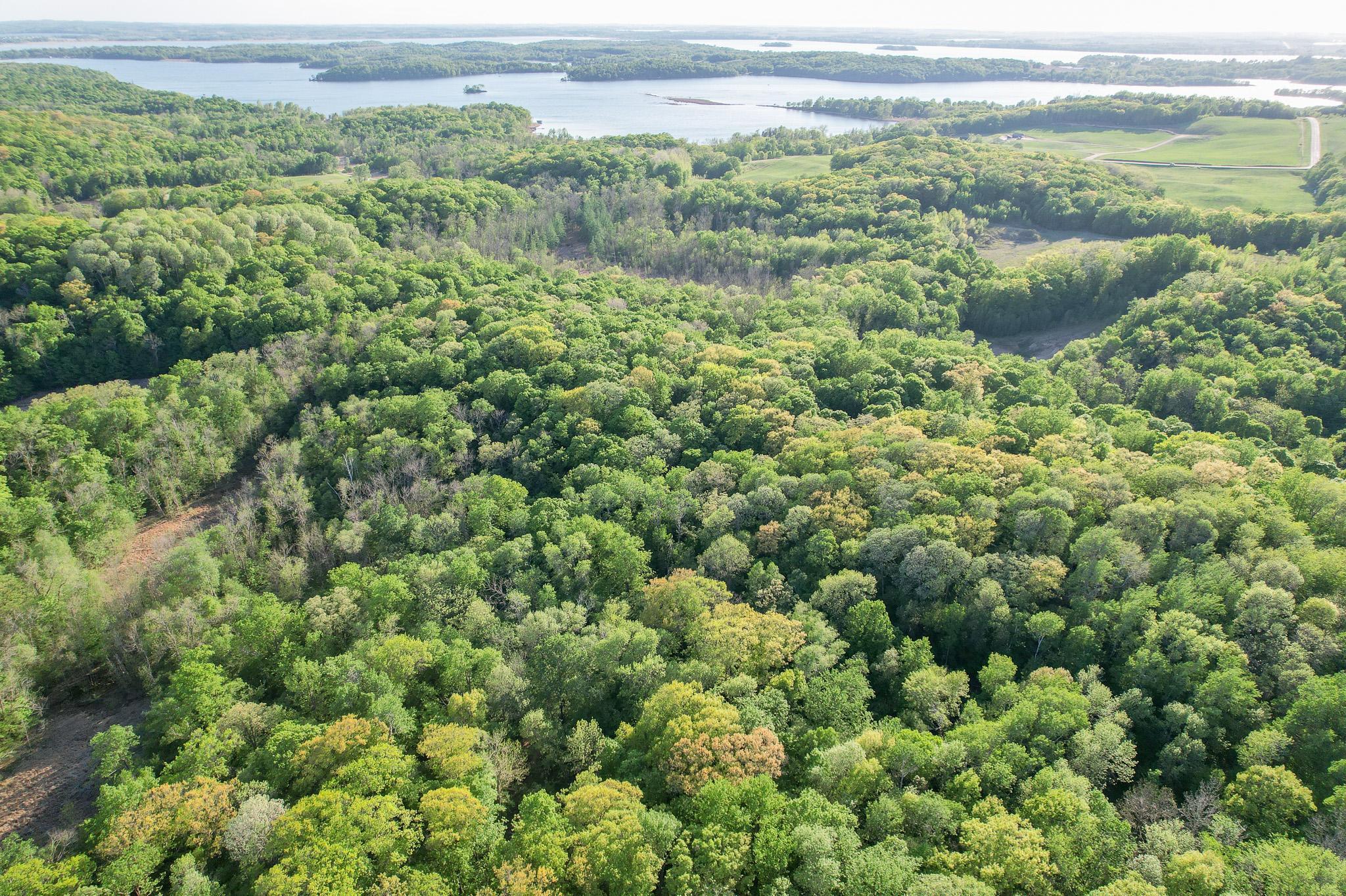 TBD 470th Street, Vergas, Minnesota image 9