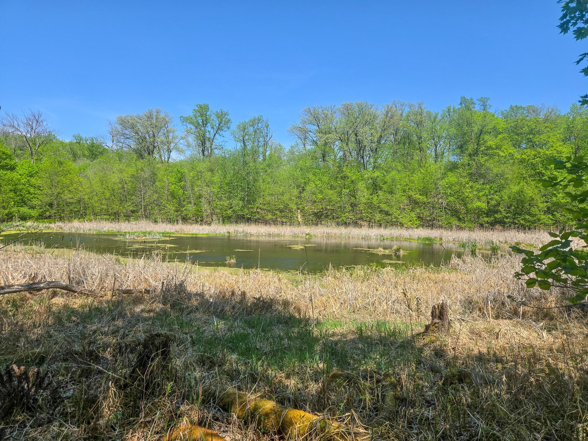 TBD 470th Street, Vergas, Minnesota image 38