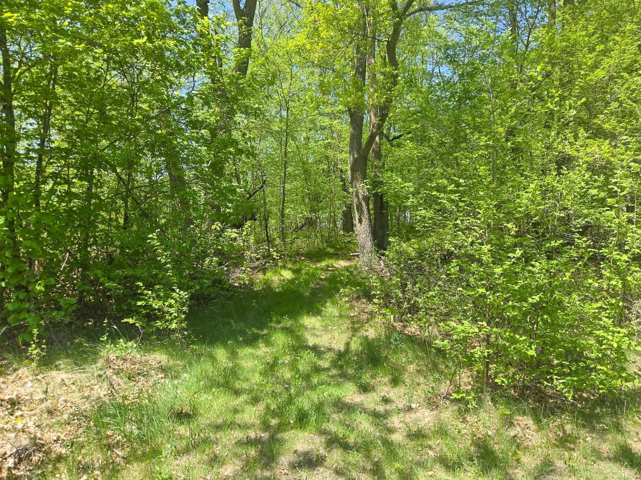 TBD 470th Street, Vergas, Minnesota image 25