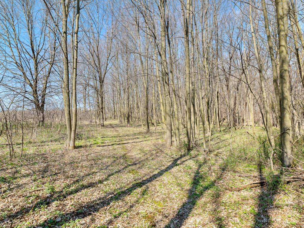 1120 County Road, Downing, Wisconsin image 27