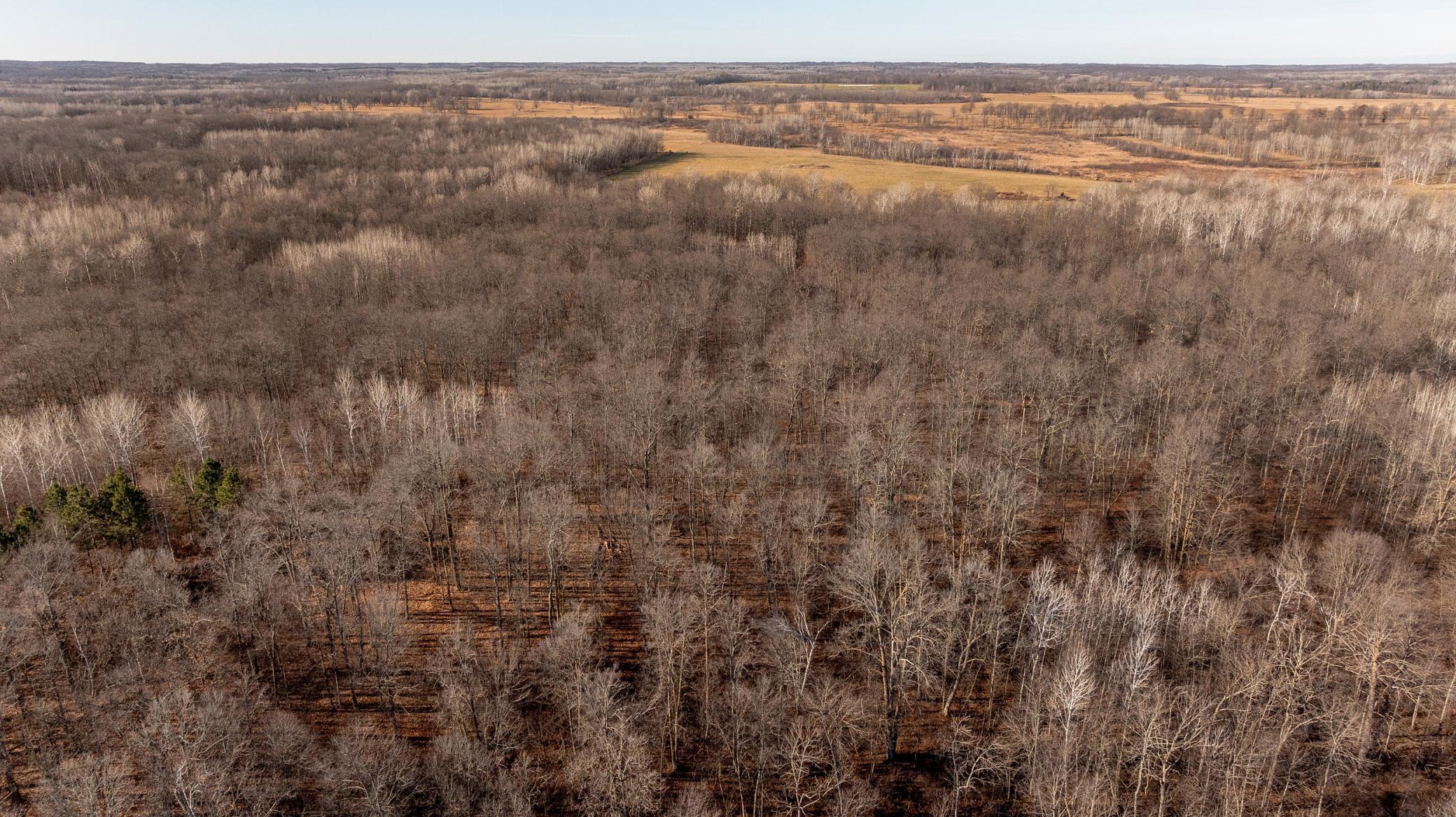 3324 52nd Street, Pine River, Minnesota image 23