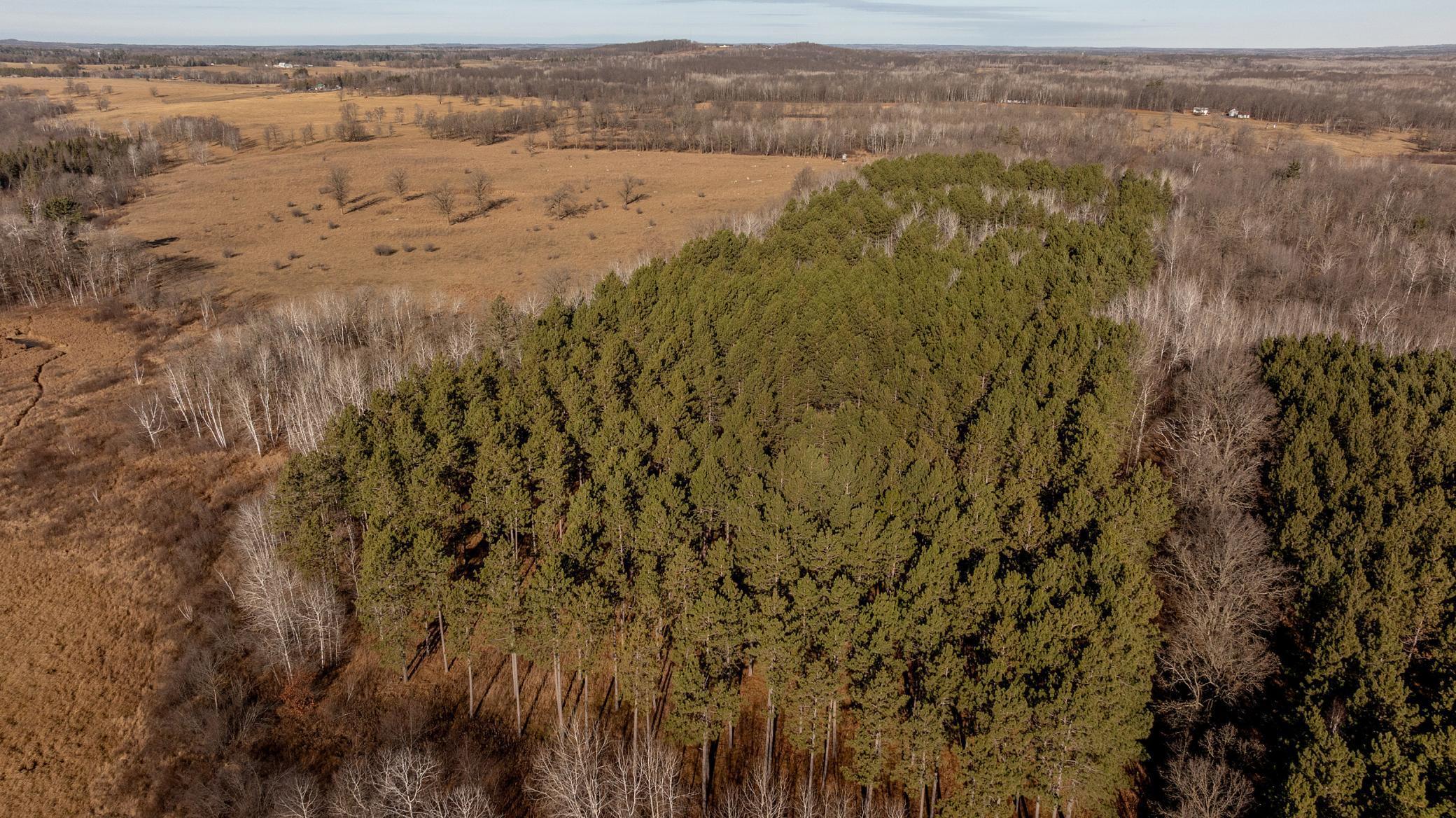 3324 52nd Street, Pine River, Minnesota image 22