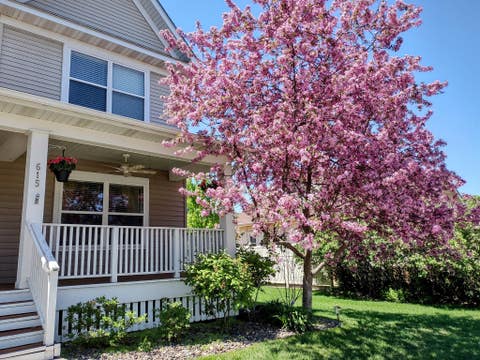 Townhouse For Sale - 615 1st Avenue<br/> Osseo, MN 55369