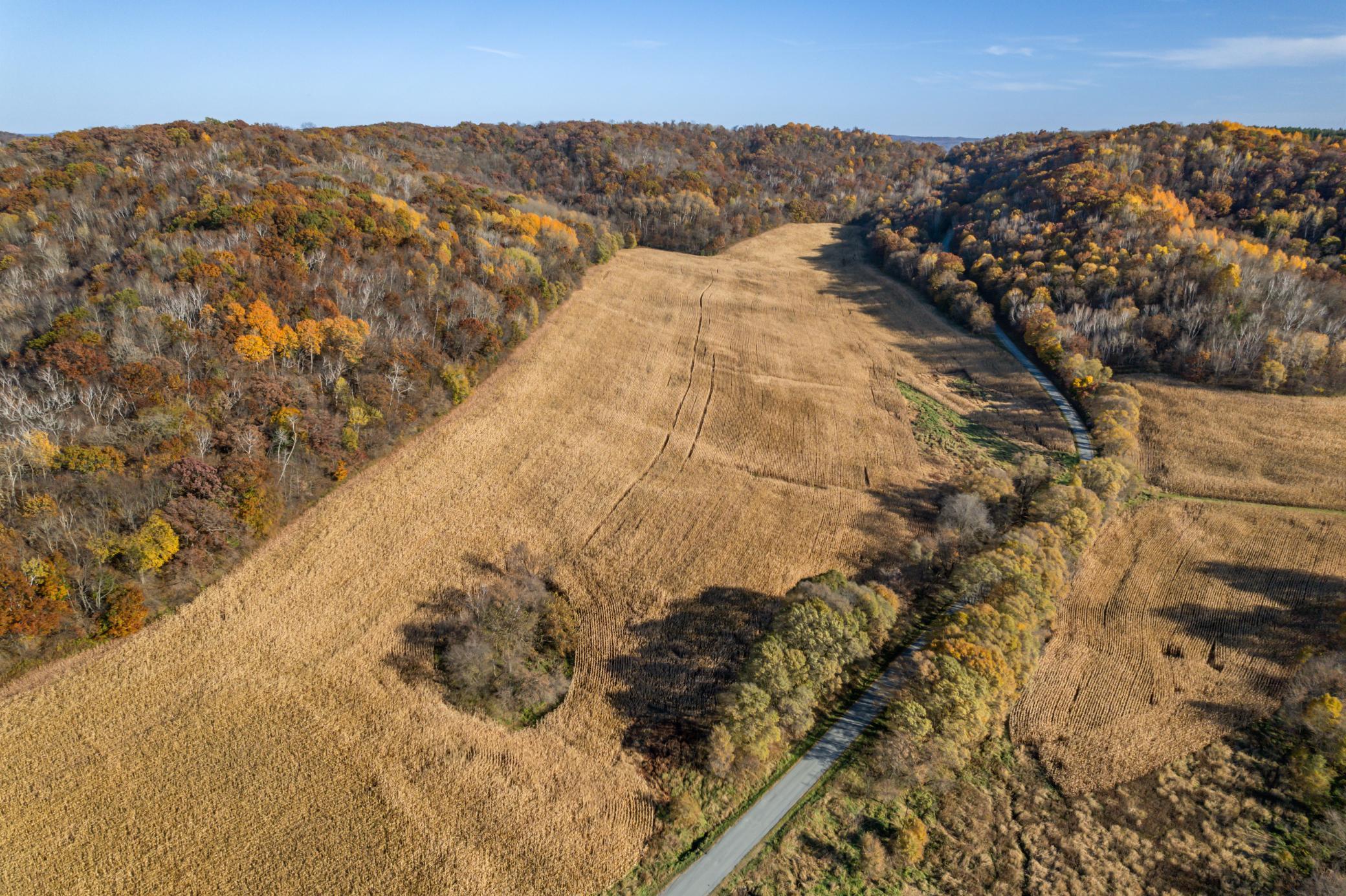 Xxxx Linden Lane Road, Galesville, Wisconsin image 5