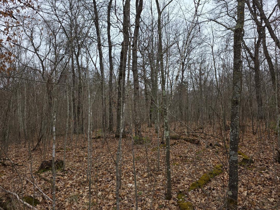 Lot 7 Kessler Rd, Danbury, Wisconsin image 5