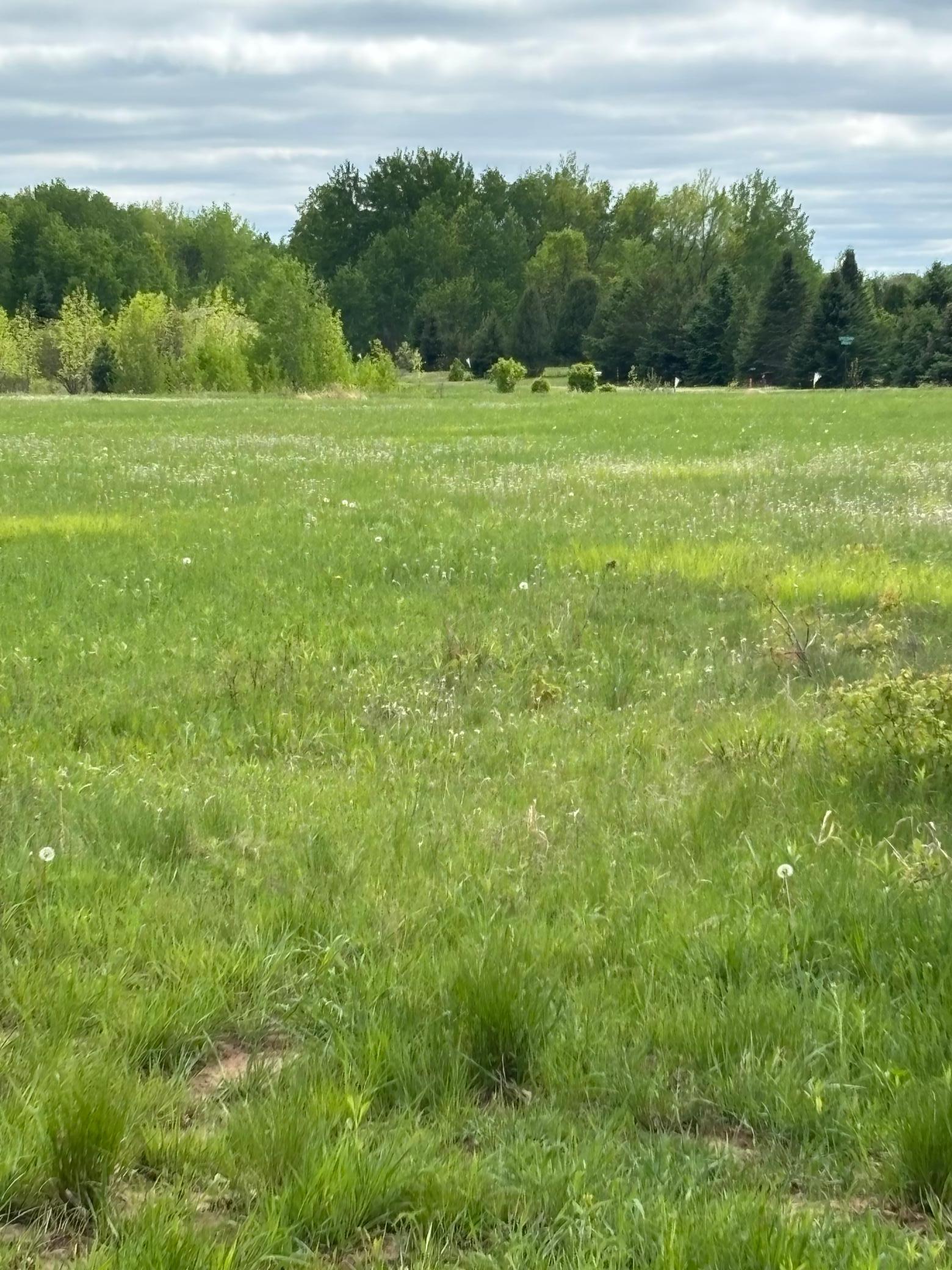 XXXX Jefferson Street, Mora, Minnesota image 1