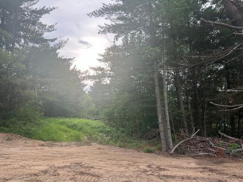 Vacant Land For Sale - LOT 6 BLK 2 Ridgewood Drive<br/> Randall, MN 56475