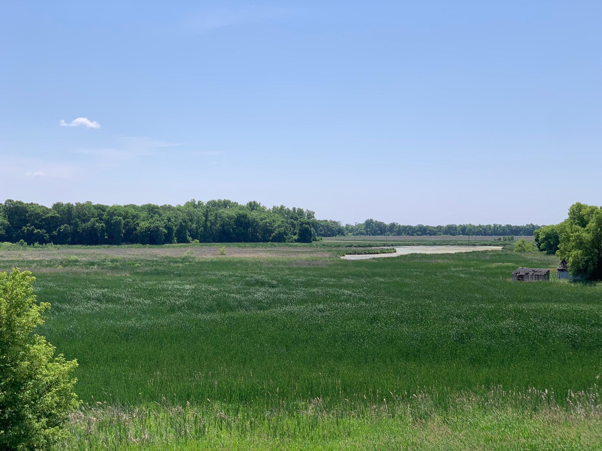 13650 Ringneck Way, Rogers, Minnesota image 16