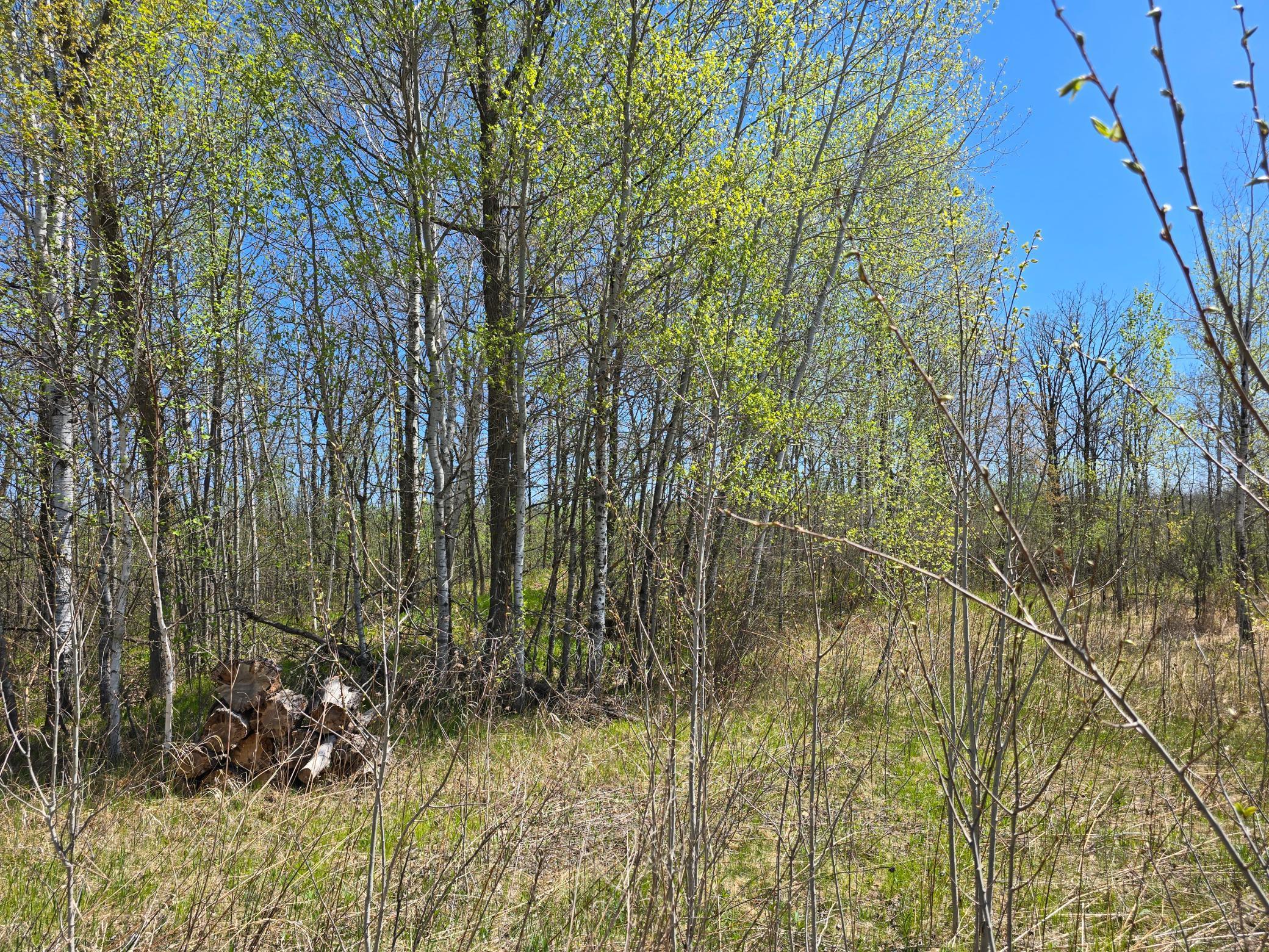 000 Highway 23, Brook Park, Minnesota image 6