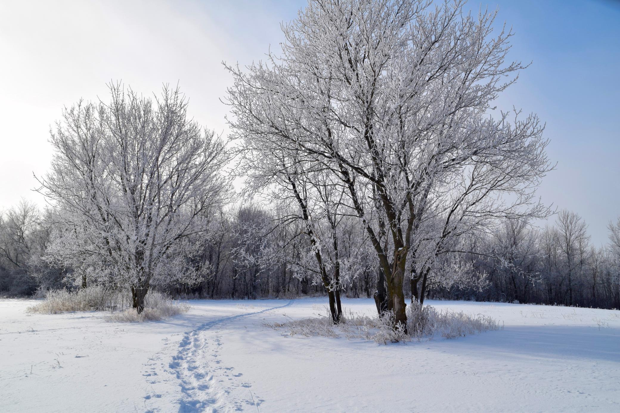 1260 County Road 8, Waverly, Minnesota image 15
