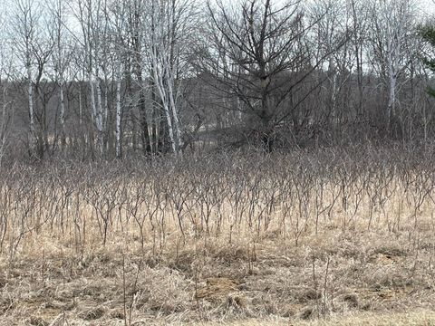 Vacant Land For Sale - XXXX Ottawa Drive<br/> Todd County, Browerville, MN 56438