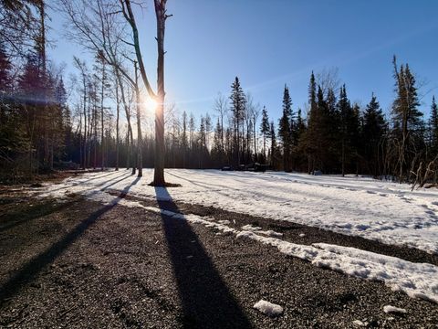 Vacant Land For Sale - TBD Butler Road<br/> Saint Louis County, Mountain Iron, MN 55768