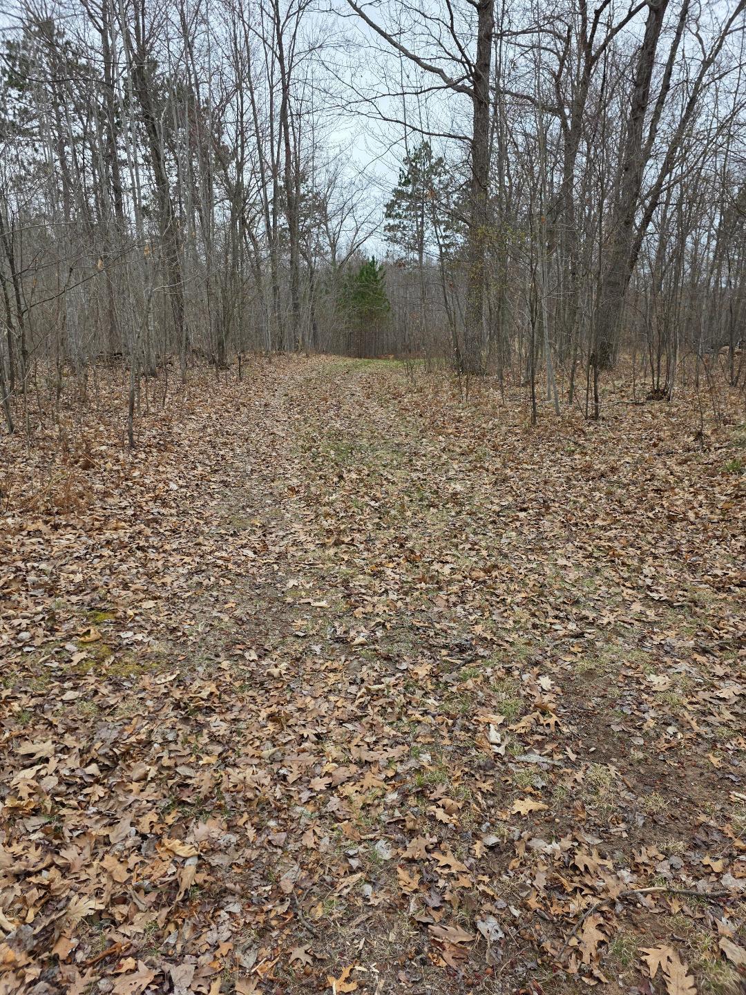 Lot 8 Lukes Lane, Danbury, Wisconsin image 14