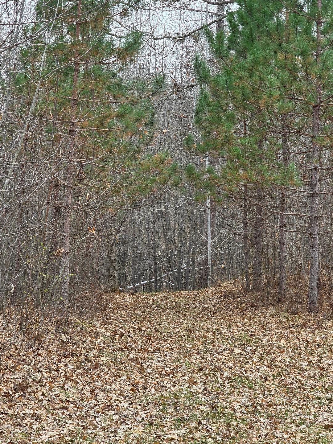 Lot 8 Lukes Lane, Danbury, Wisconsin image 11