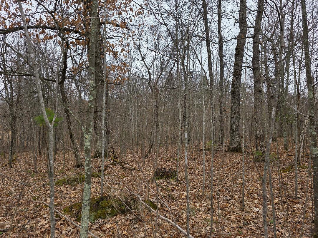 Lot 8 Lukes Lane, Danbury, Wisconsin image 3