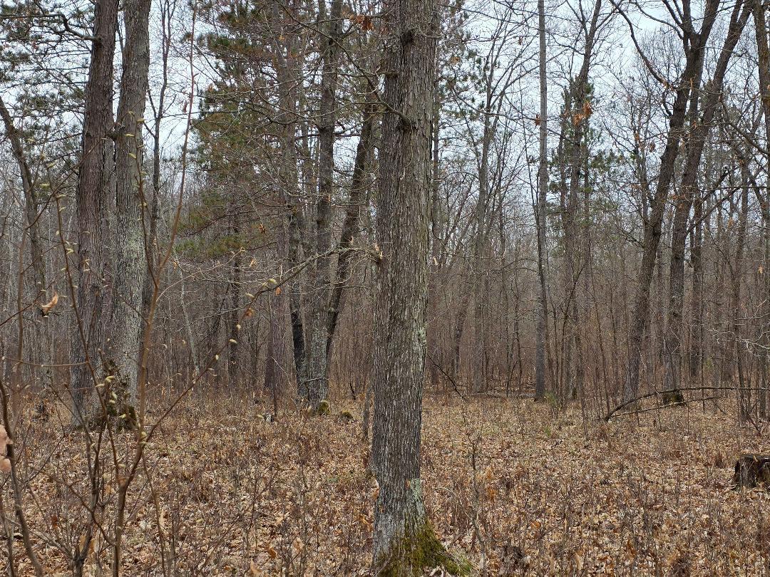 Lot 8 Lukes Lane, Danbury, Wisconsin image 8