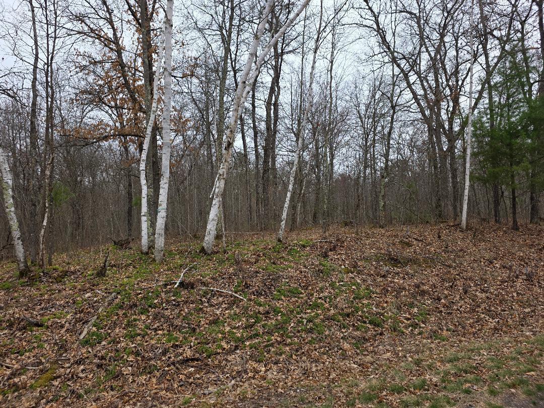 Lot 8 Lukes Lane, Danbury, Wisconsin image 5