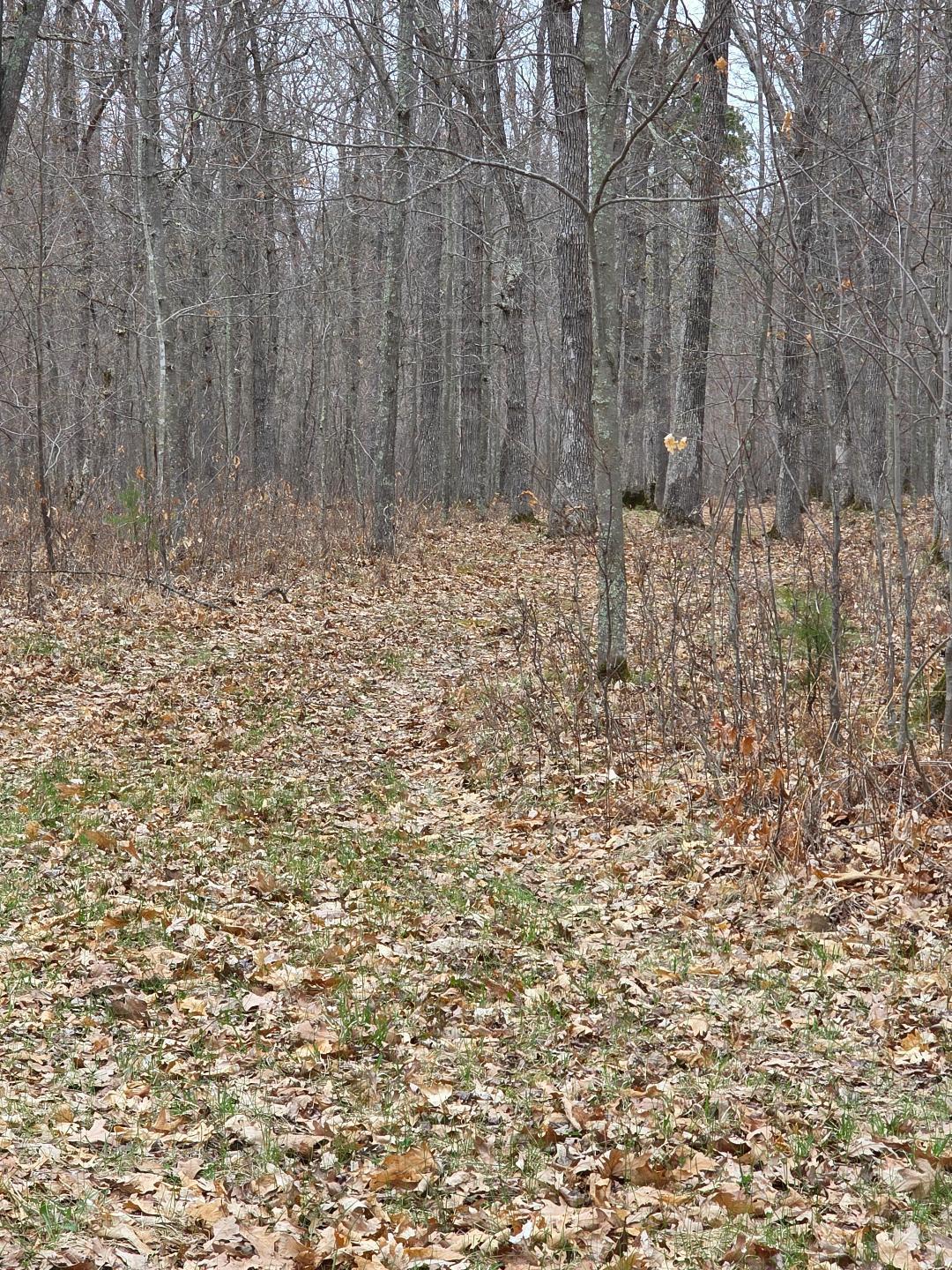 Lot 8 Lukes Lane, Danbury, Wisconsin image 10