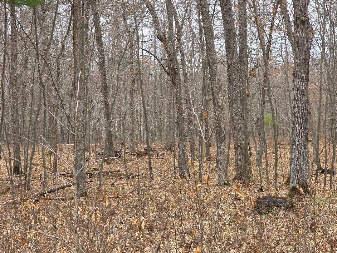 Lot 8 Lukes Lane, Danbury, Wisconsin image 9