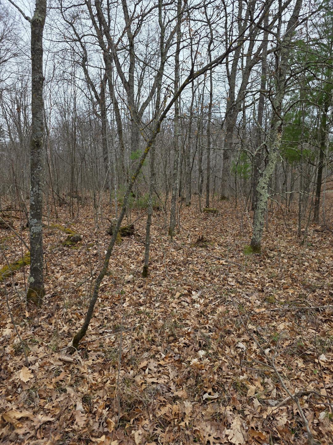 Lot 8 Lukes Lane, Danbury, Wisconsin image 2