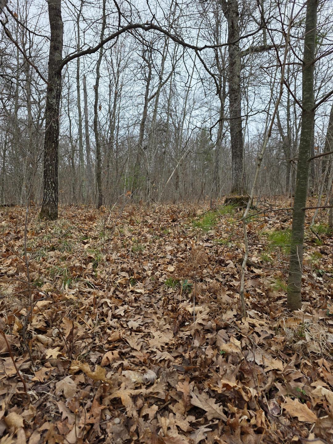 Lot 8 Lukes Lane, Danbury, Wisconsin image 17