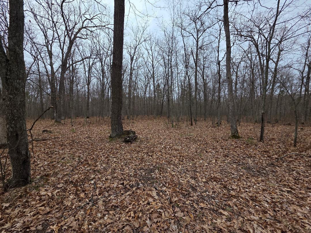 Lot 8 Lukes Lane, Danbury, Wisconsin image 6