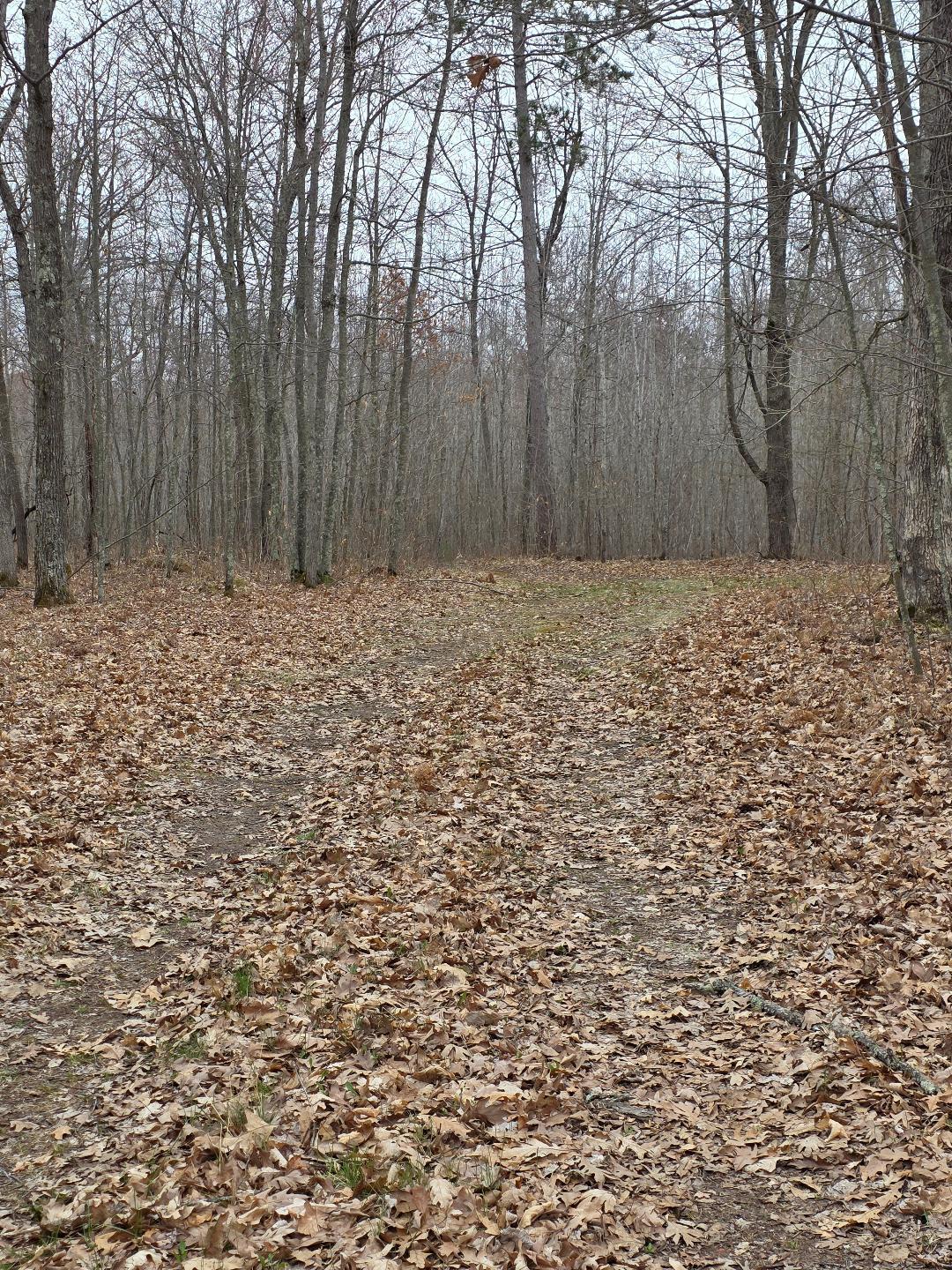 Lot 8 Lukes Lane, Danbury, Wisconsin image 7