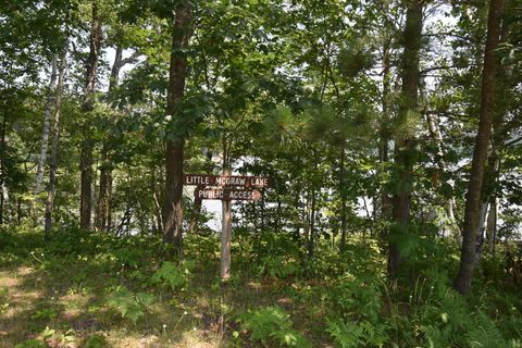 Vacant Land For Sale - 332XX Mcgraw Lake Road<br/> Burnett County, Danbury, WI 54830