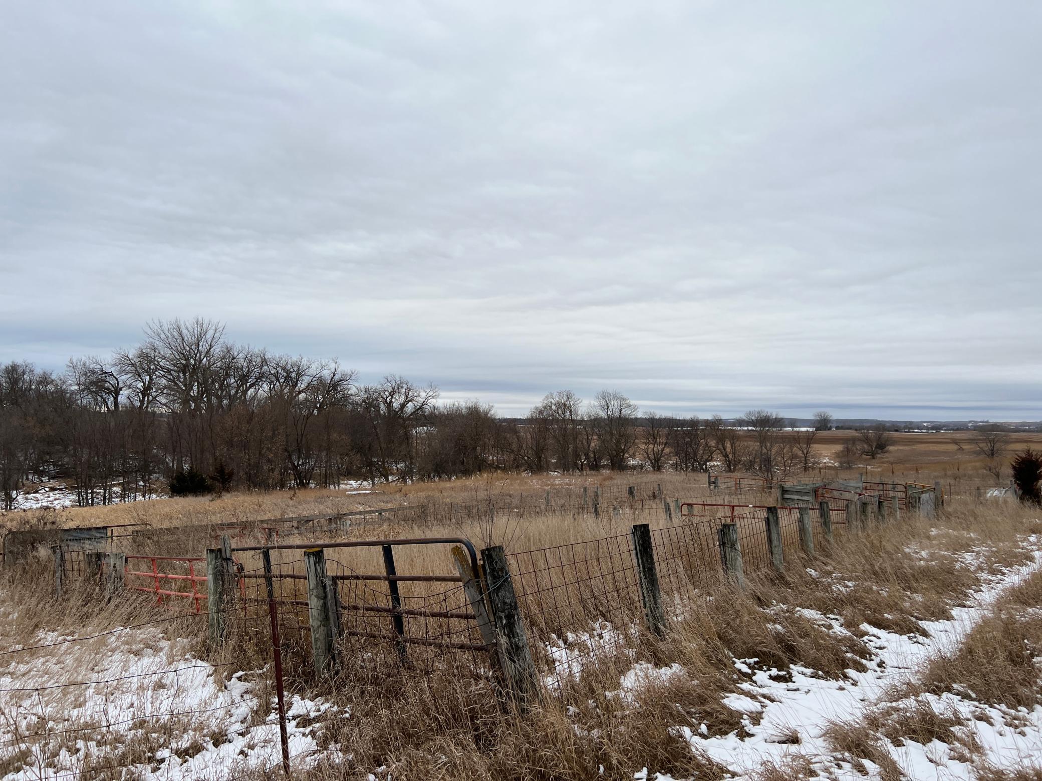 Gilchrist Township 335th Street, Glenwood, Minnesota image 7