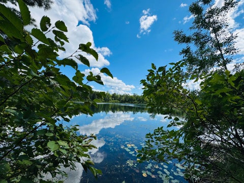 Vacant Land For Sale - LOTS 7 & 8 Morningside Drive<br/> Merrifield, MN 56465