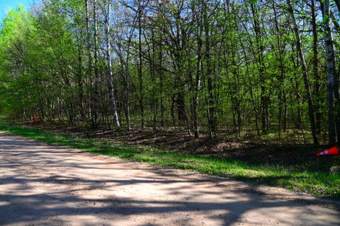 Vacant Land For Sale - 28329 Orchard Drive<br/> Todd County, Browerville, MN 56438