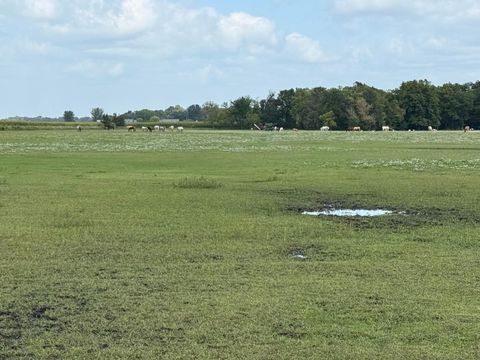 Vacant Land For Sale - 38388 512th St St<br/> Nicollet County, North Mankato, MN 56003