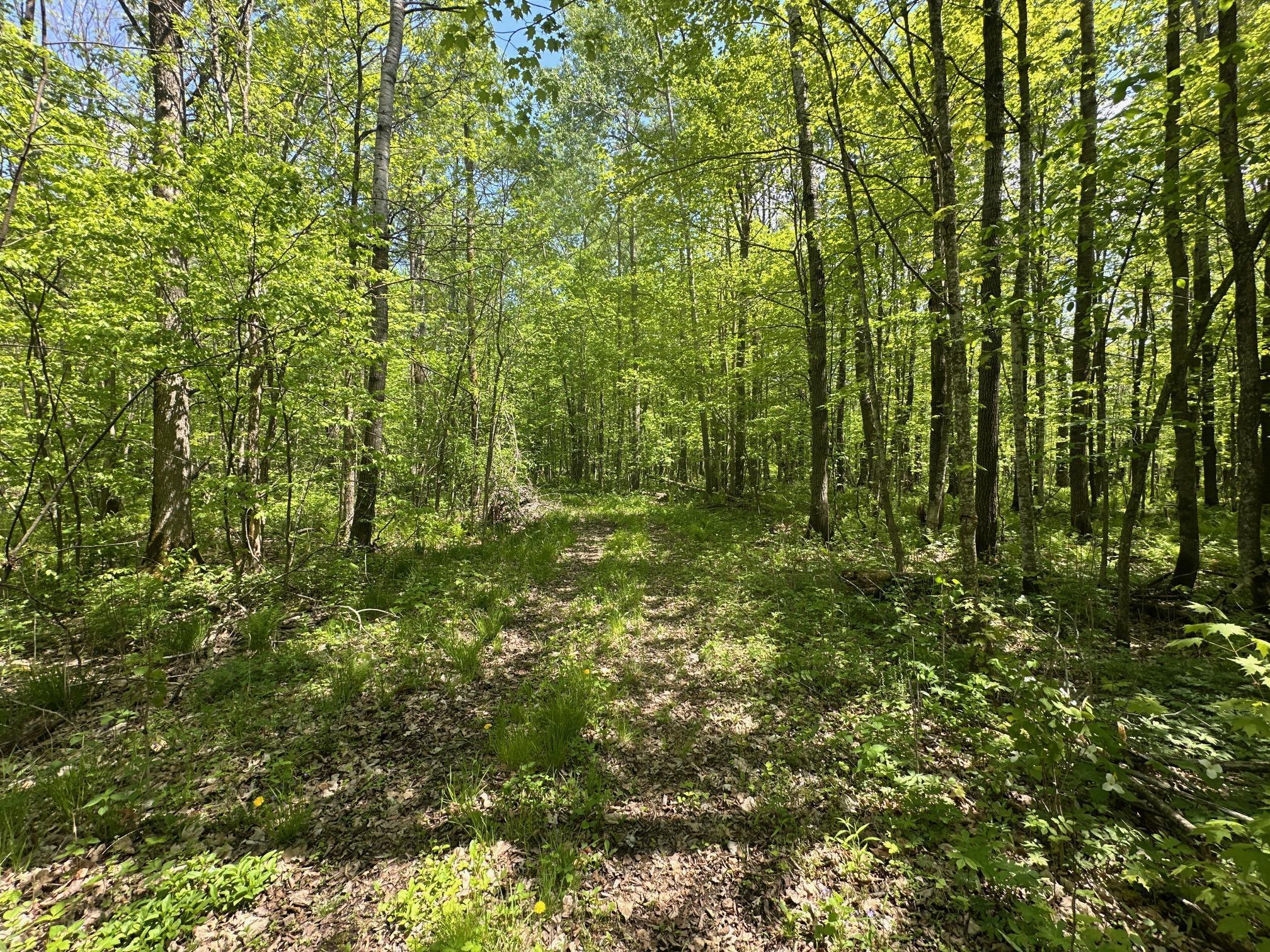XXCB Merlin Road, Hillman, Minnesota image 42