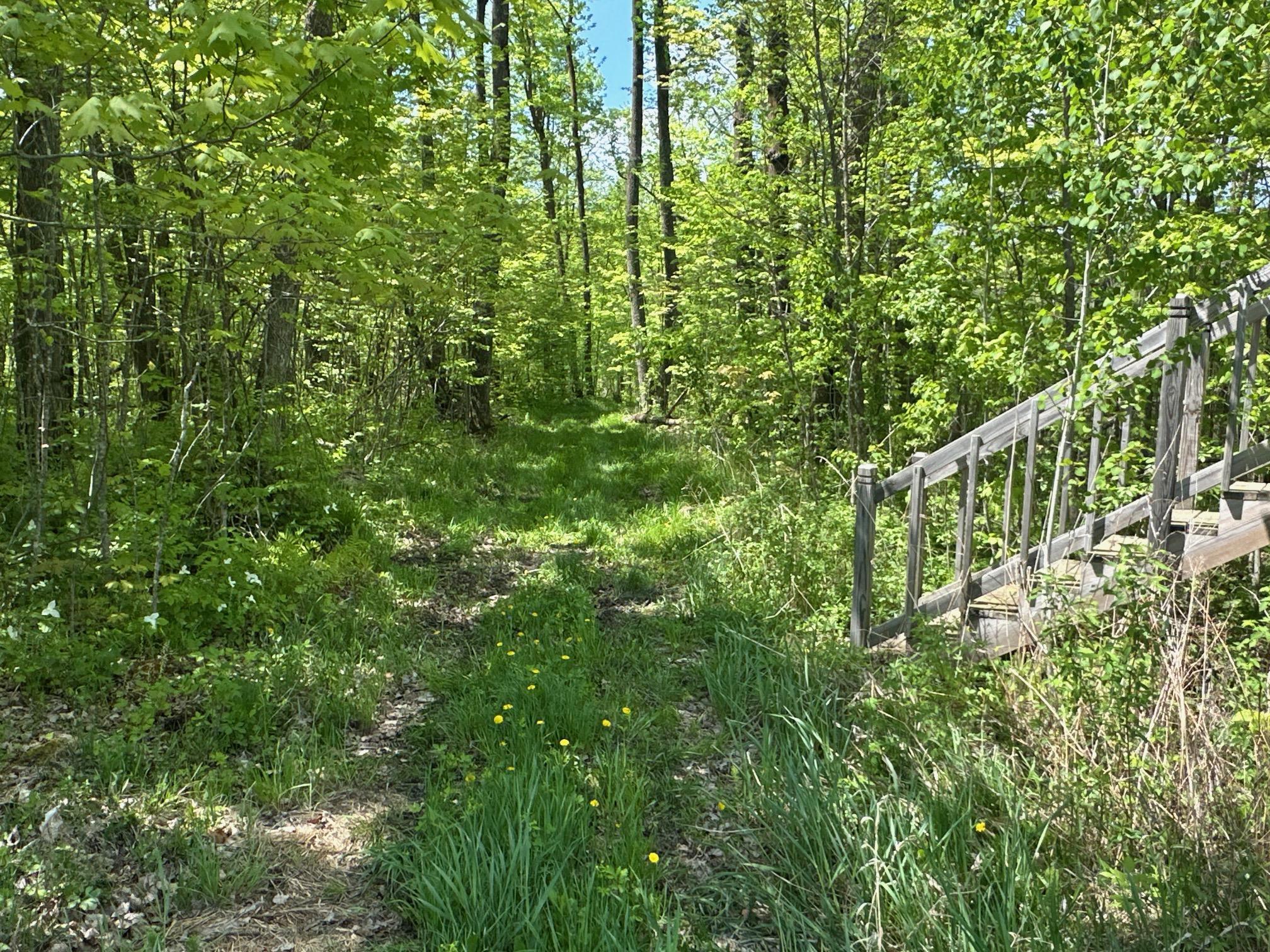 XXCB Merlin Road, Hillman, Minnesota image 41